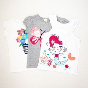 Gymboree Playtime Shirts (set of 3) size 2T